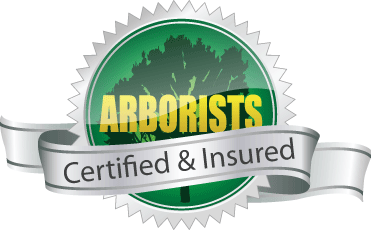 certified arborists near me