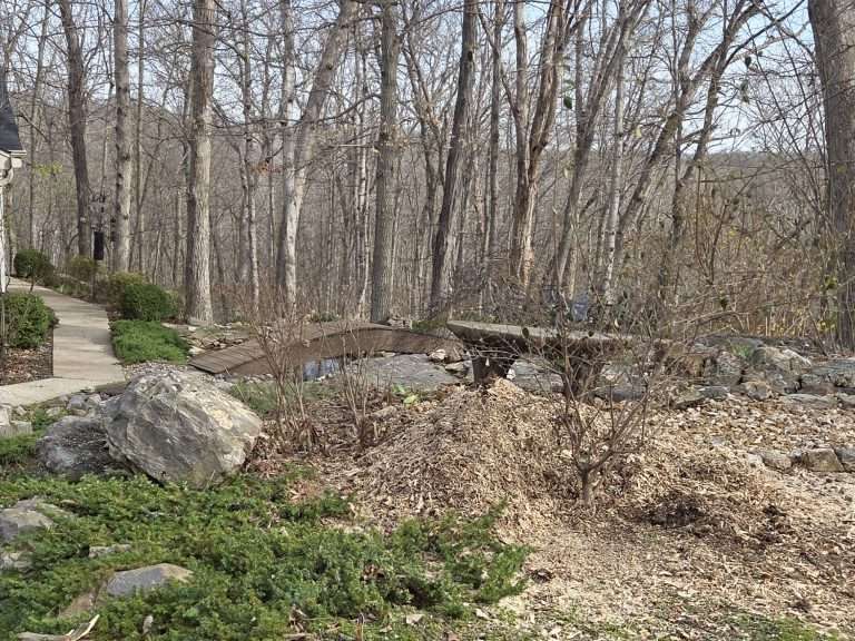 Wentzville tree removal AFTER 2026-03